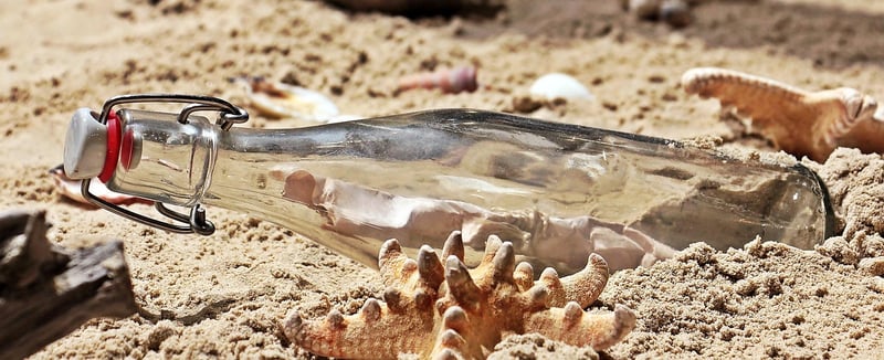 Bottle Terrariums